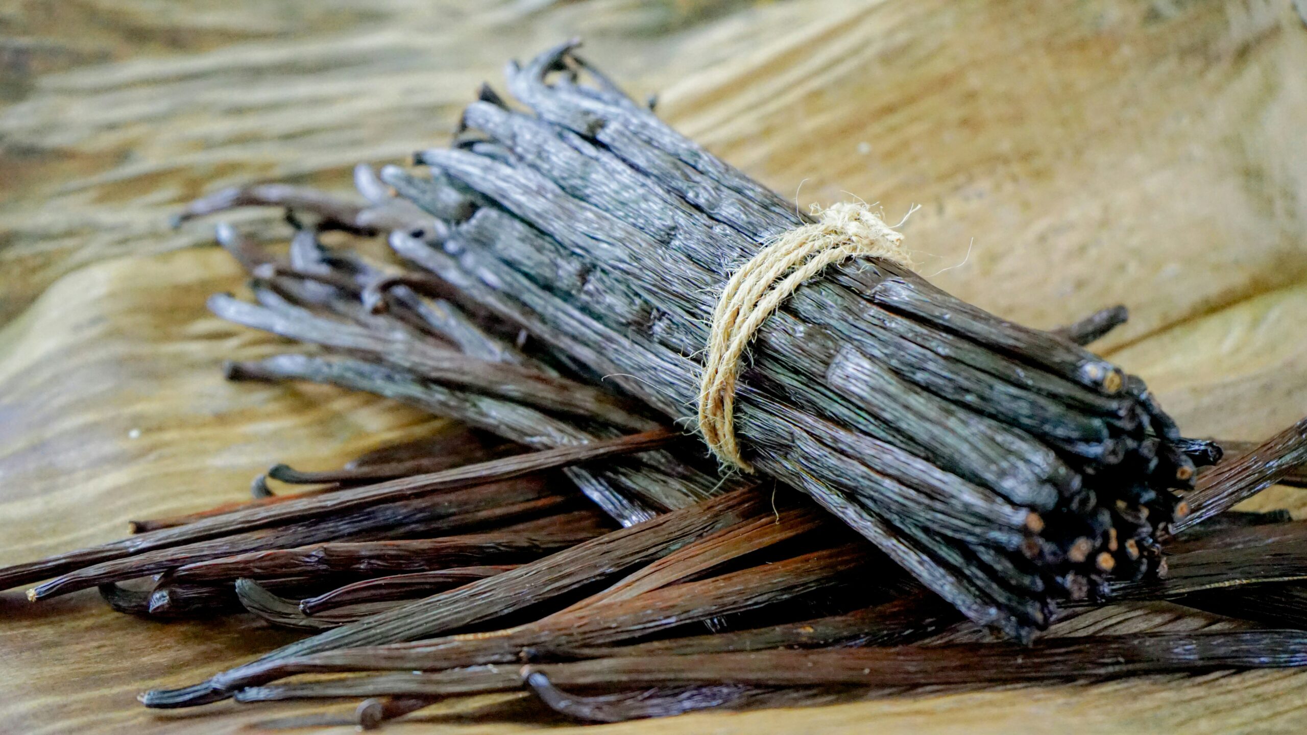 bundle of dried vanilla for background